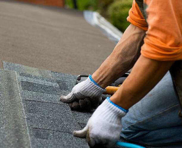 Professional Roofing in Niagara, WI